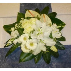 Composition Ronde Blanche